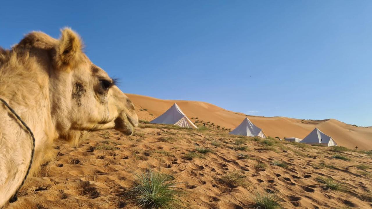 Desert Moments Glamping - Full Privacy Bidiya Luaran gambar